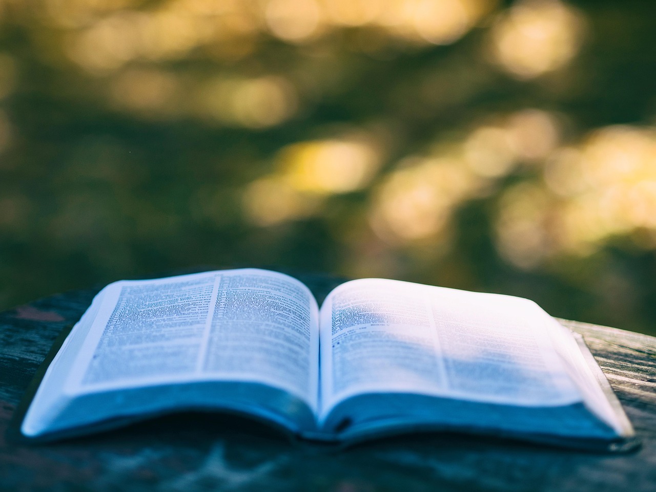 The careful reader guide to reading expert opinions